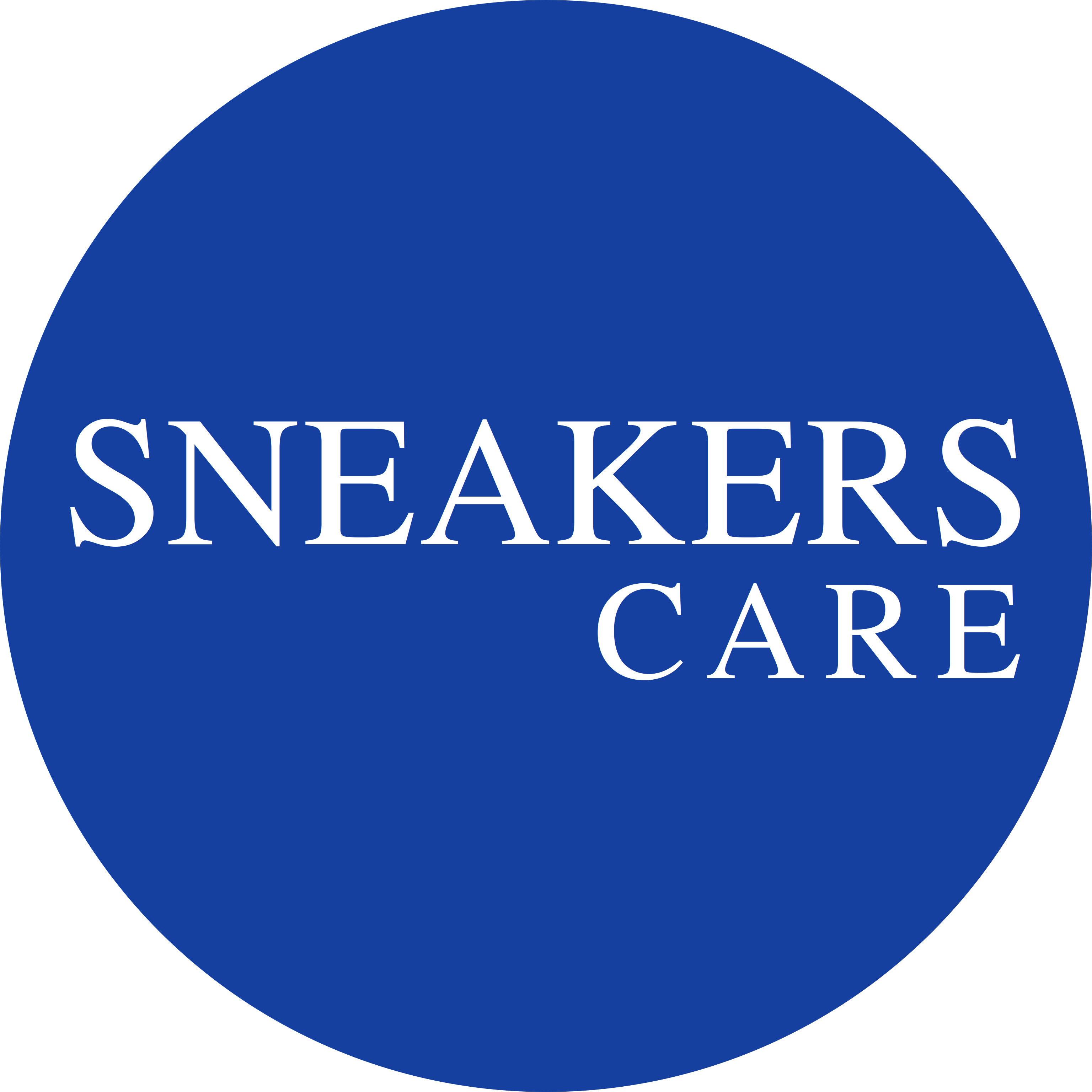 Sneakers Care Georgia
